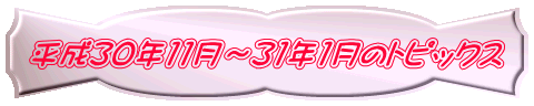 平成30年11月~31年1月のトピックス