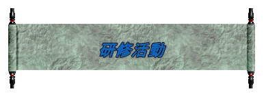 研修活動